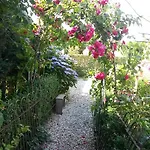 Aan De Limes In Bed and breakfast Maurik