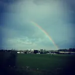Aan De Limes In