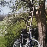 Aan De Limes In 3* Maurik