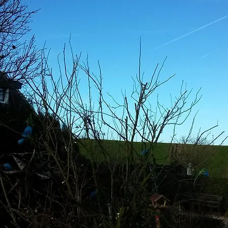 Bed & Breakfast Aan De Limes In Maurik