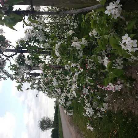 Aan De Limes In 3* Maurik