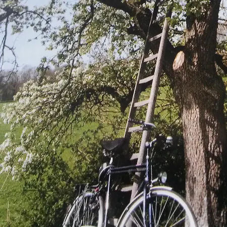 Aan De Limes In * Maurik