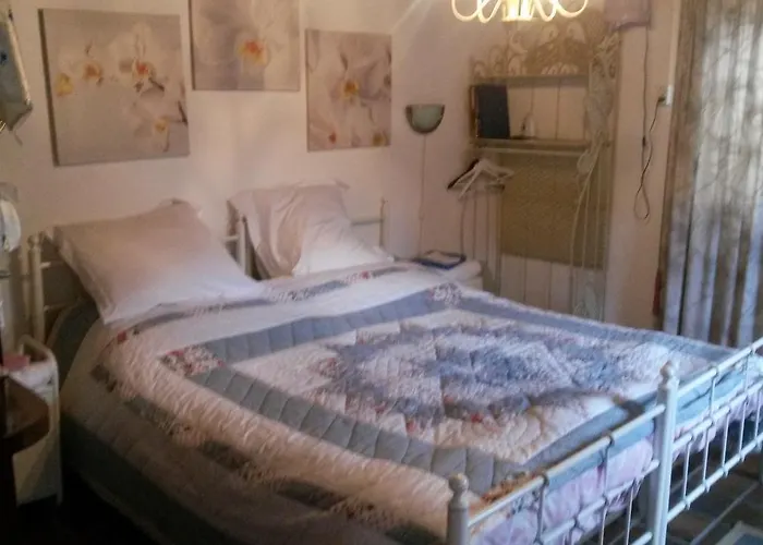 Aan De Limes In Maurik