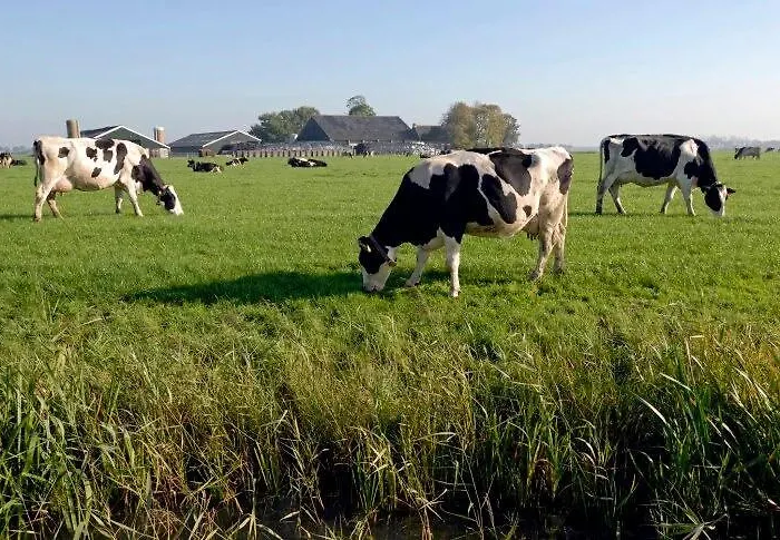 Nocleg ze śniadaniem Aan De Limes In 3*