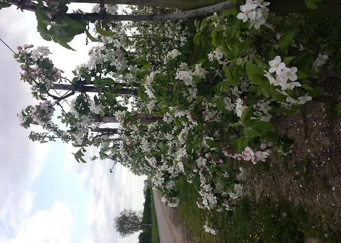 Aan De Limes In 3* Maurik