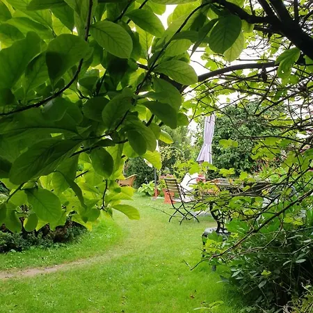 לינה וארוחת בוקר Aan De Limes In 3*