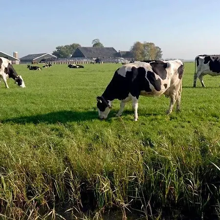 לינה וארוחת בוקר Aan De Limes In 3*