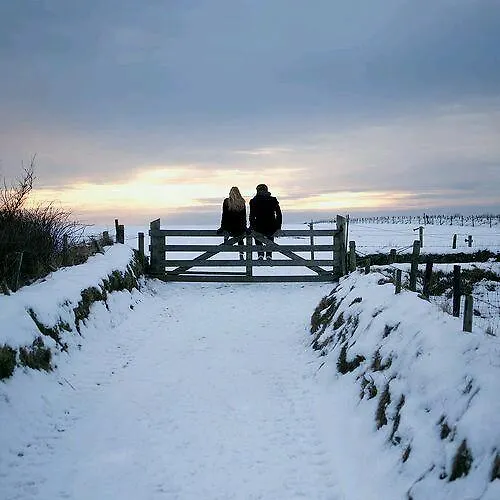 Oda ve Kahvaltı Aan De Limes In